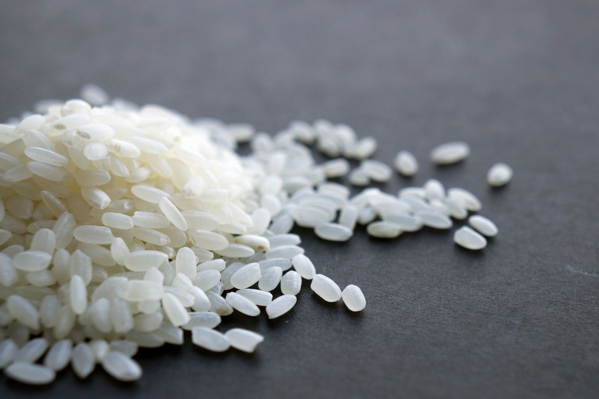 Le riz contient-il du gluten ? La réponse claire